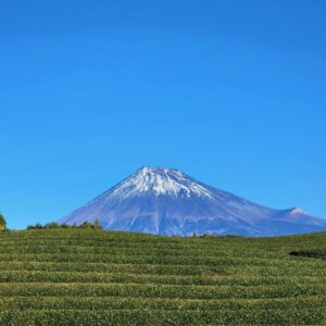 富士の山頂ブレンド