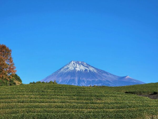 富士の山頂ブレンド